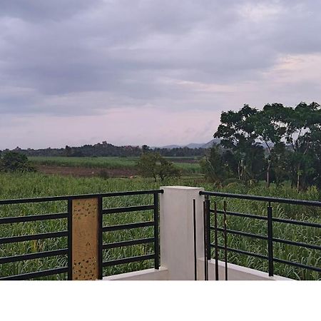 Coconut Homestay Hampi Ngoại thất bức ảnh