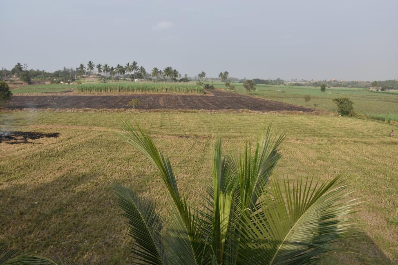 Coconut Homestay Hampi Ngoại thất bức ảnh