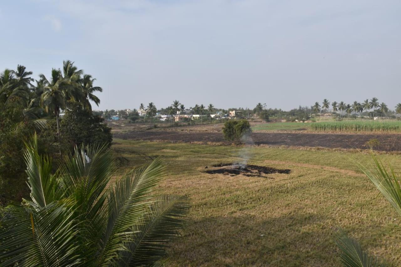 Coconut Homestay Hampi Ngoại thất bức ảnh