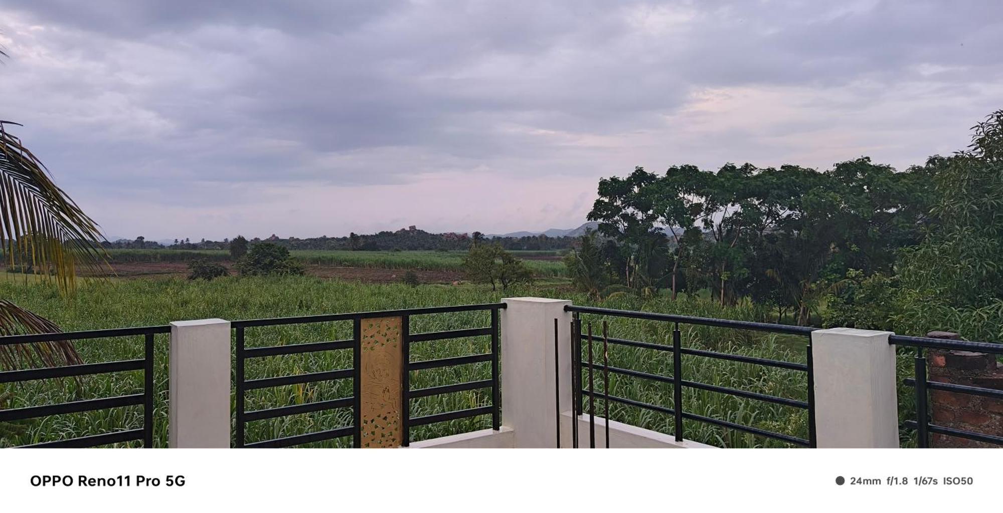 Coconut Homestay Hampi Ngoại thất bức ảnh